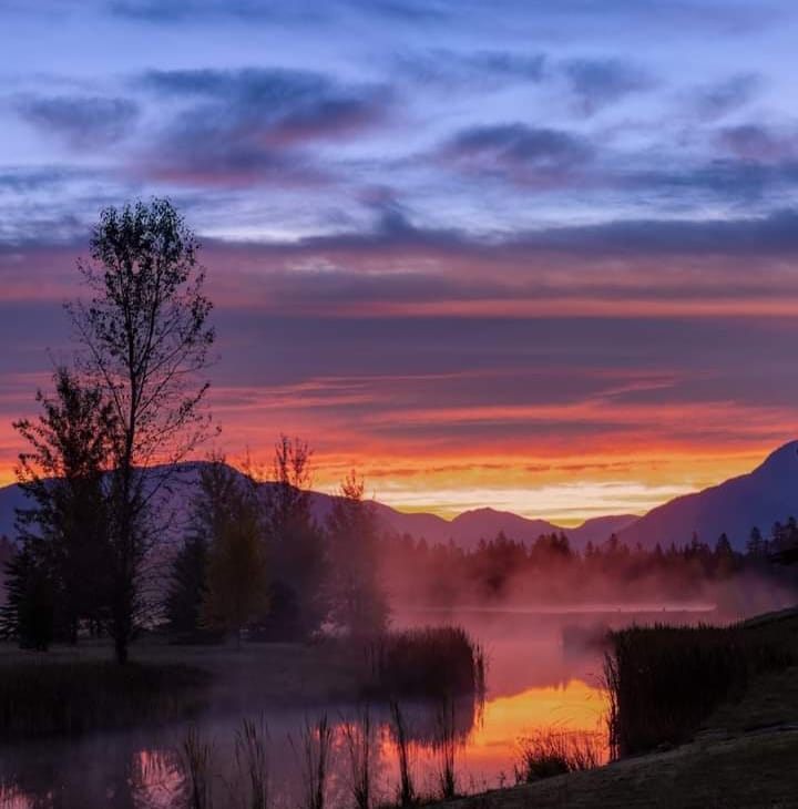 Landscape painting of a sunset over a misty lake by Dr. Parvin Ansari